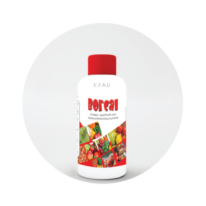بوركال - BorCal