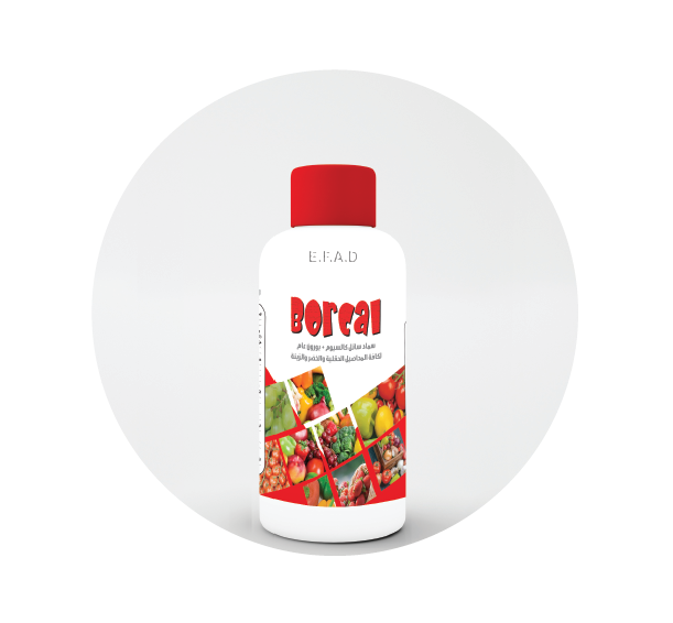 بوركال - BorCal