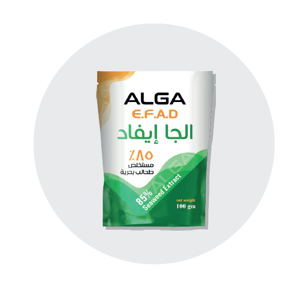 الجا ايفاد