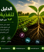 الدليل الشامل لتغذية النبات من الزراعة حتى الحصاد