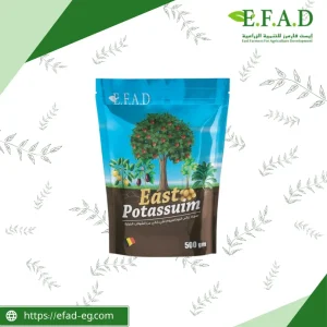 ايست بوتاسيوم - EAST POTASSIUM