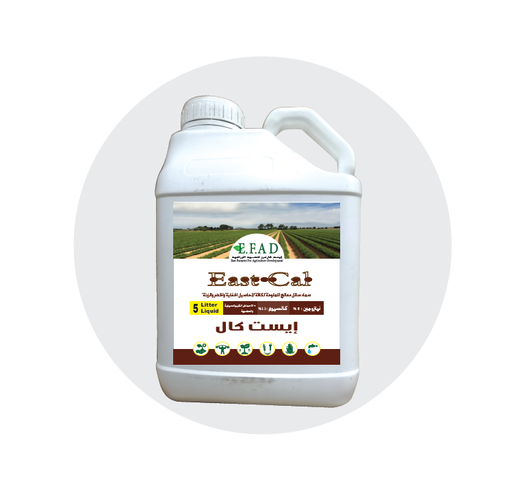 ايست كـال - East Cal