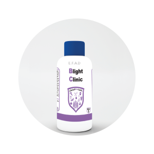 بلايت كلينيك - Blight Clinic