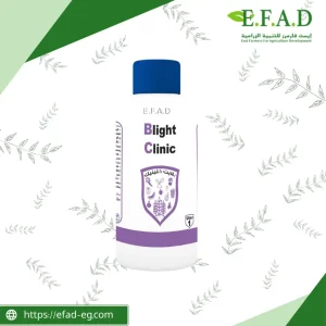 بلايت كلينيك - Blight Clinic