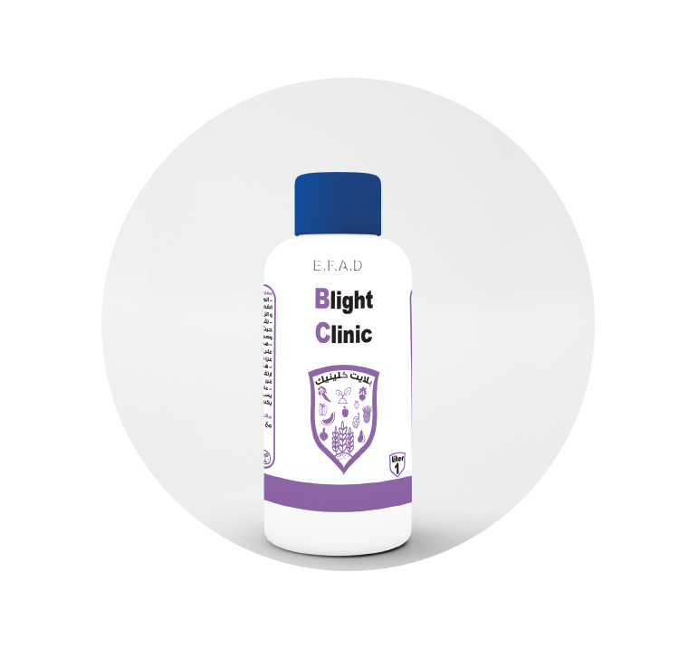 بلايت كلينيك - Blight Clinic