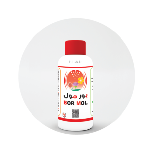 بورمول - Bor Mol