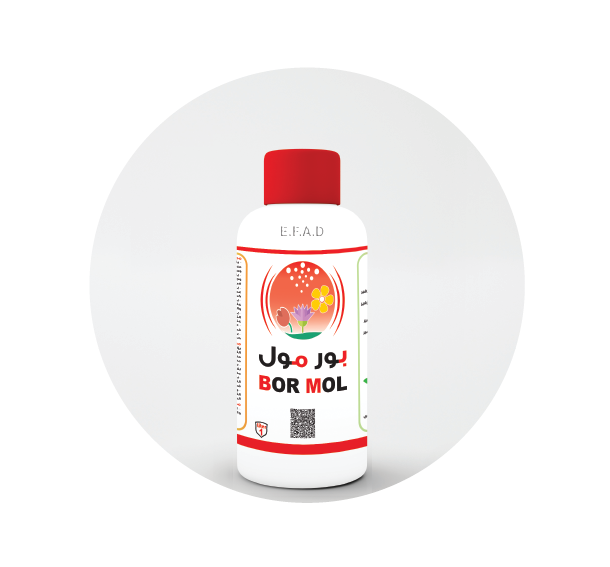 بورمول - Bor Mol