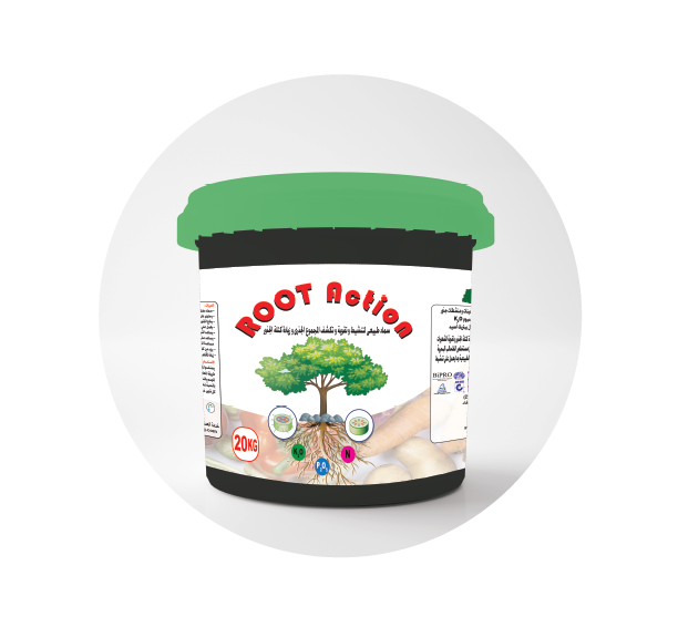 روت اكشن - ROOT ACTION
