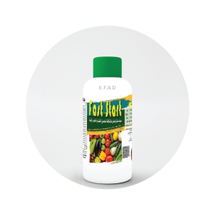 فاست ستارت - Fast Start
