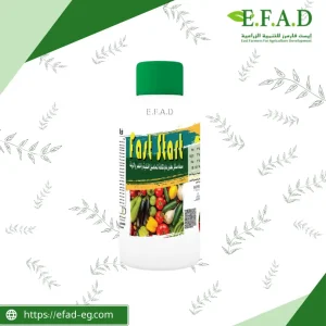 فاست ستارت - Fast Start