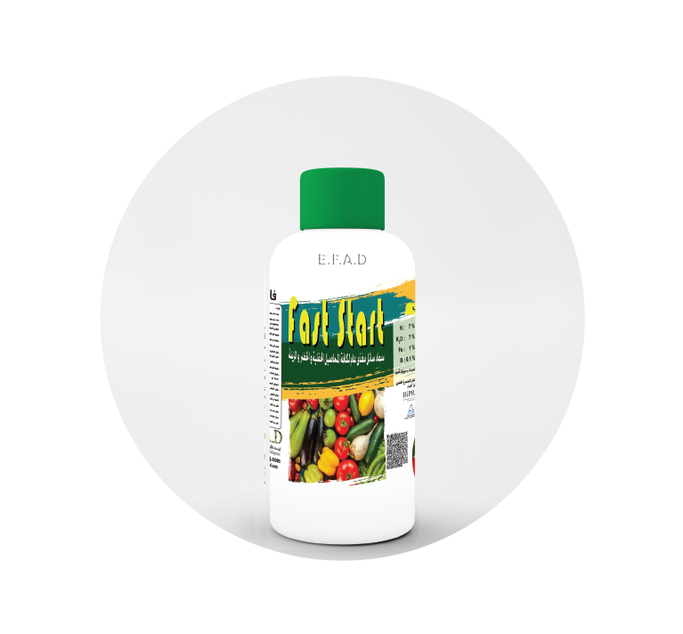 فاست ستارت - Fast Start