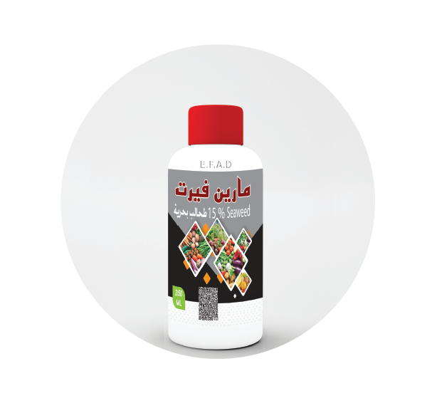 مارين فيرت