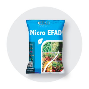 ميكرو ايفاد - Micro EFAD
