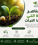 أهم العناصر الغذائية التي يحتاجها النبات