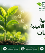 أهمية الأحماض الأمينية للنبات