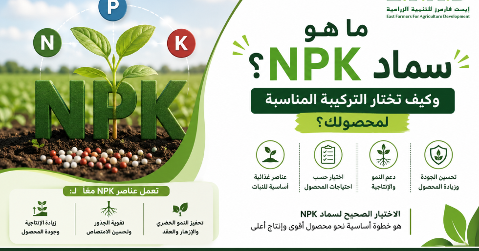 سماد NPK وأهمية النيتروجين والفوسفور والبوتاسيوم وكيفية اختيار التركيبة المناسبة للمحصول