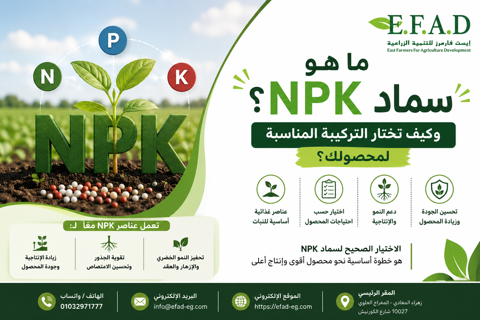 سماد NPK وأهمية النيتروجين والفوسفور والبوتاسيوم وكيفية اختيار التركيبة المناسبة للمحصول